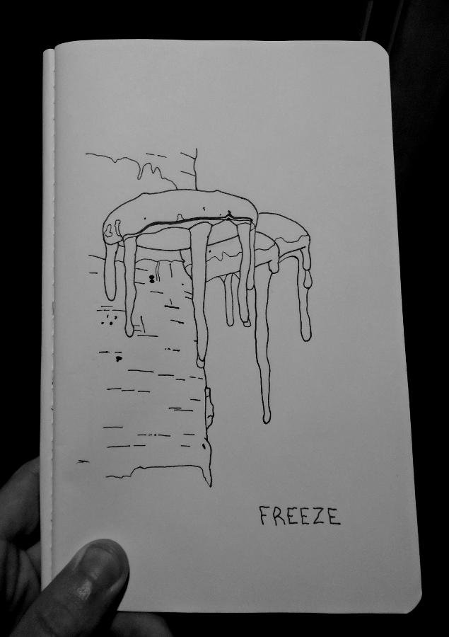 Line drawing of a birch polypore mushroom with icicles growing from a birch tree