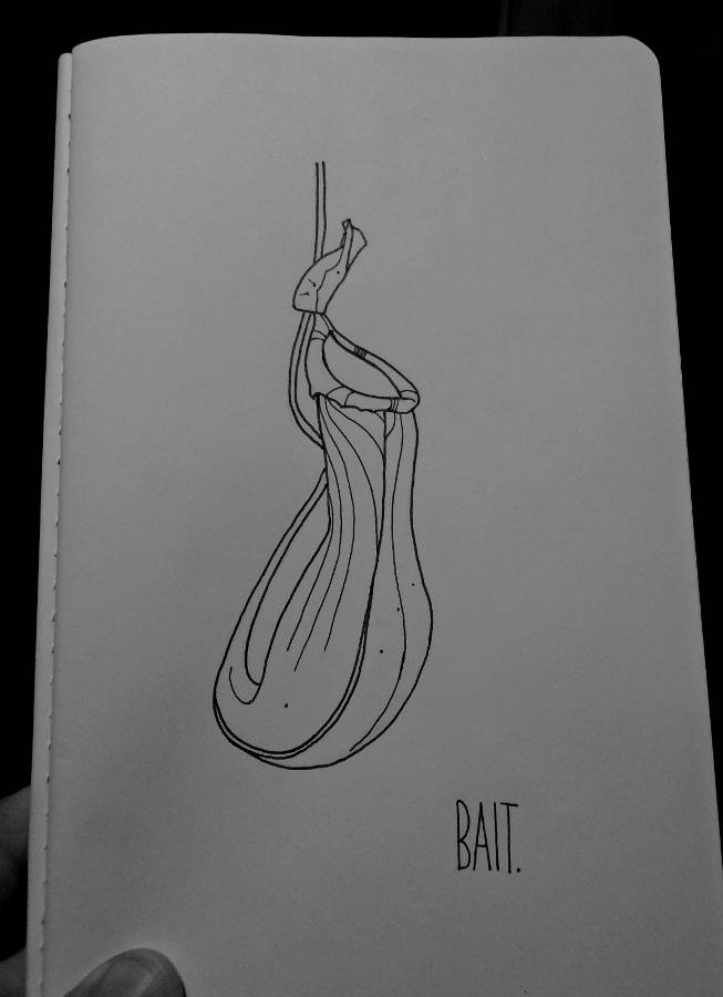 Line drawing of a pitcher plant